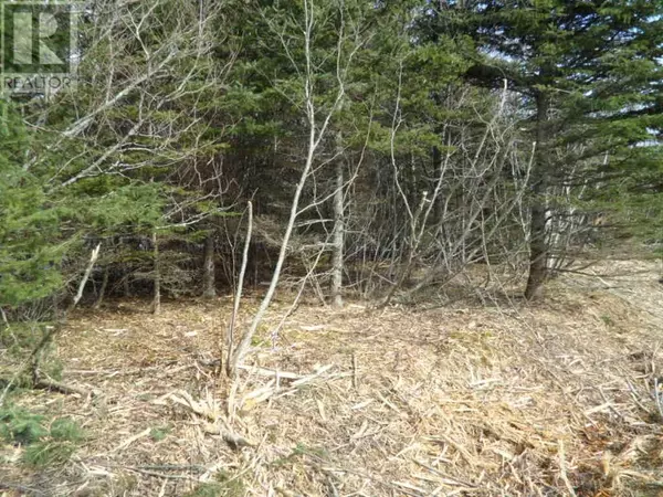 Elmsvale, NS B0N1X0,2M Highway 224