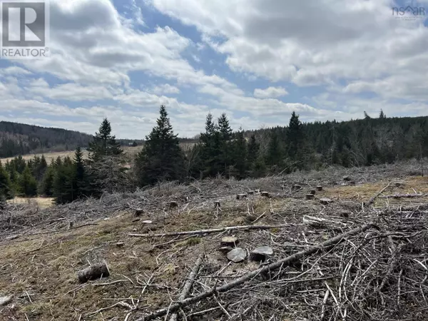 New Lairg, NS B0K2A0,229 Lairg Road