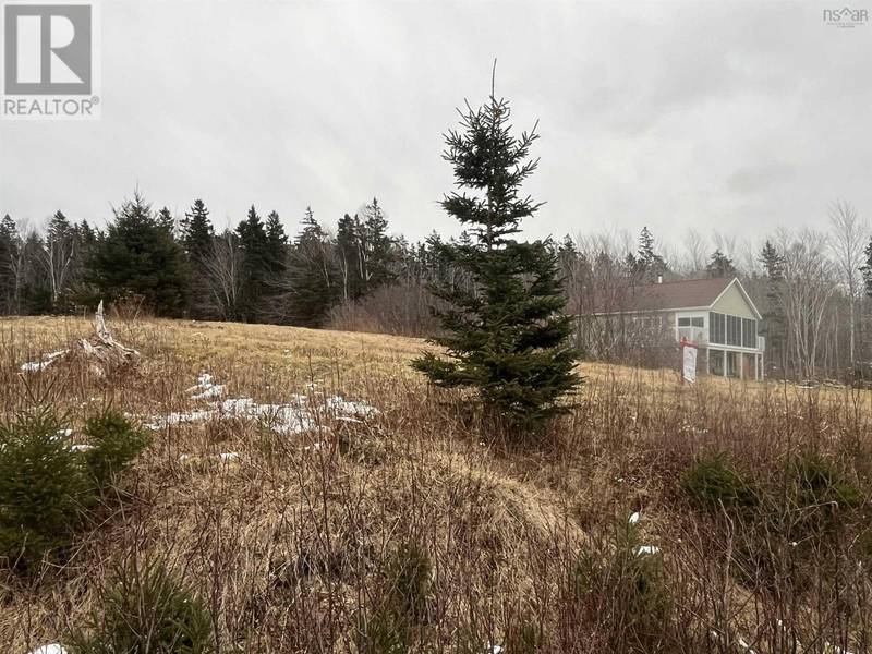 Lot 7 MacLeod Pond Road, Roberta, NS B0E3K0