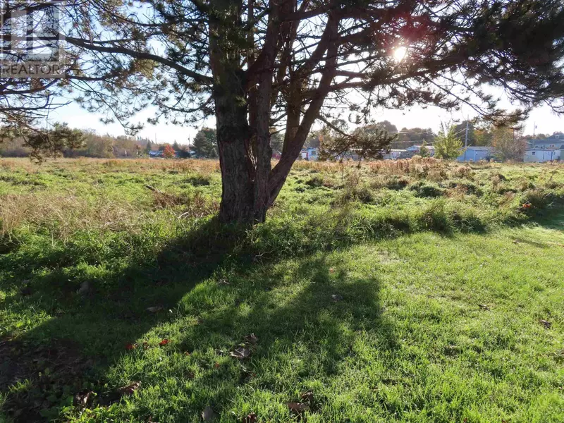 MACLELLAN STREET, Antigonish County, NS B2G1V5