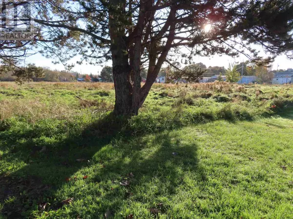 MACLELLAN STREET, Antigonish County, NS B2G1V5