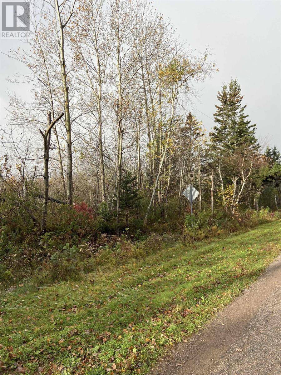 Georgetown, C0A1L0,BURNT POINT RD #LOT