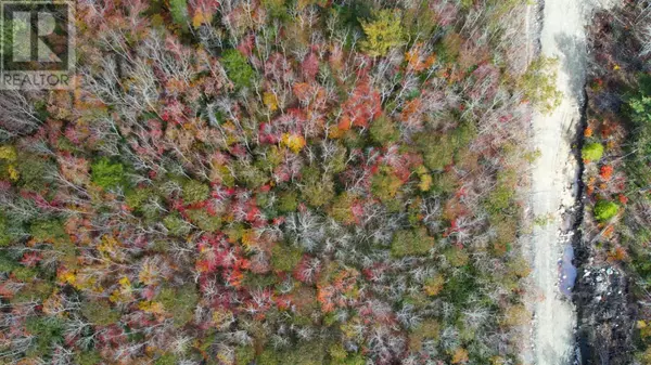 Liverpool, NS B0T1K0,62 Morton Drive