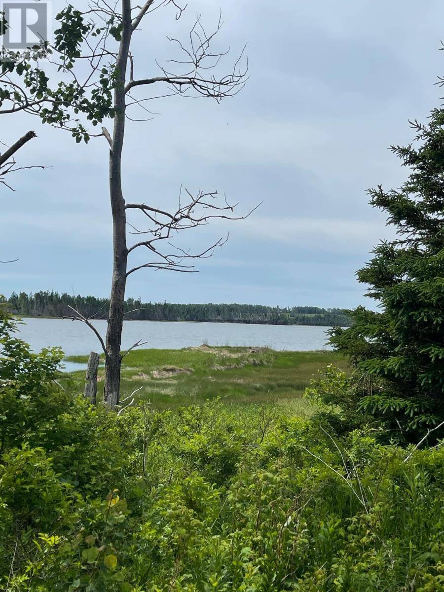 Belfast, C0A1A0,Lot 623397 & 627190|ROW - Off Pinette Rd