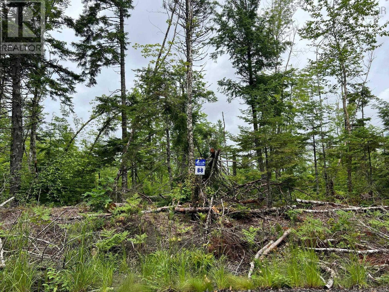 Parkdale, NS B0R1A0,55 Russells Cove Road