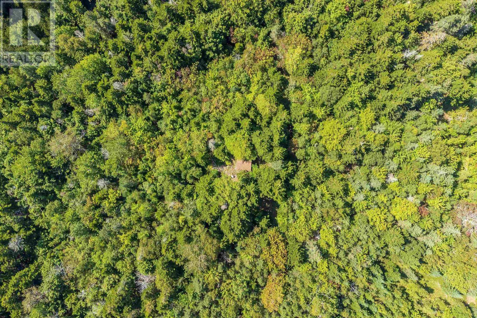 Victoria Harbour, NS B0P1C0,Lots McNally Road
