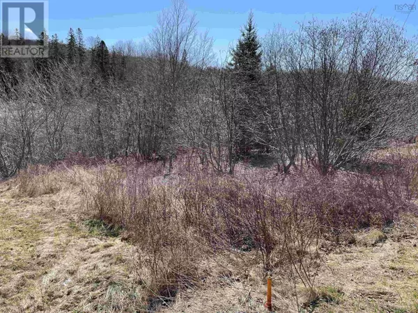 Lot Highway 236, Beaver Brook, NS B6L1E2