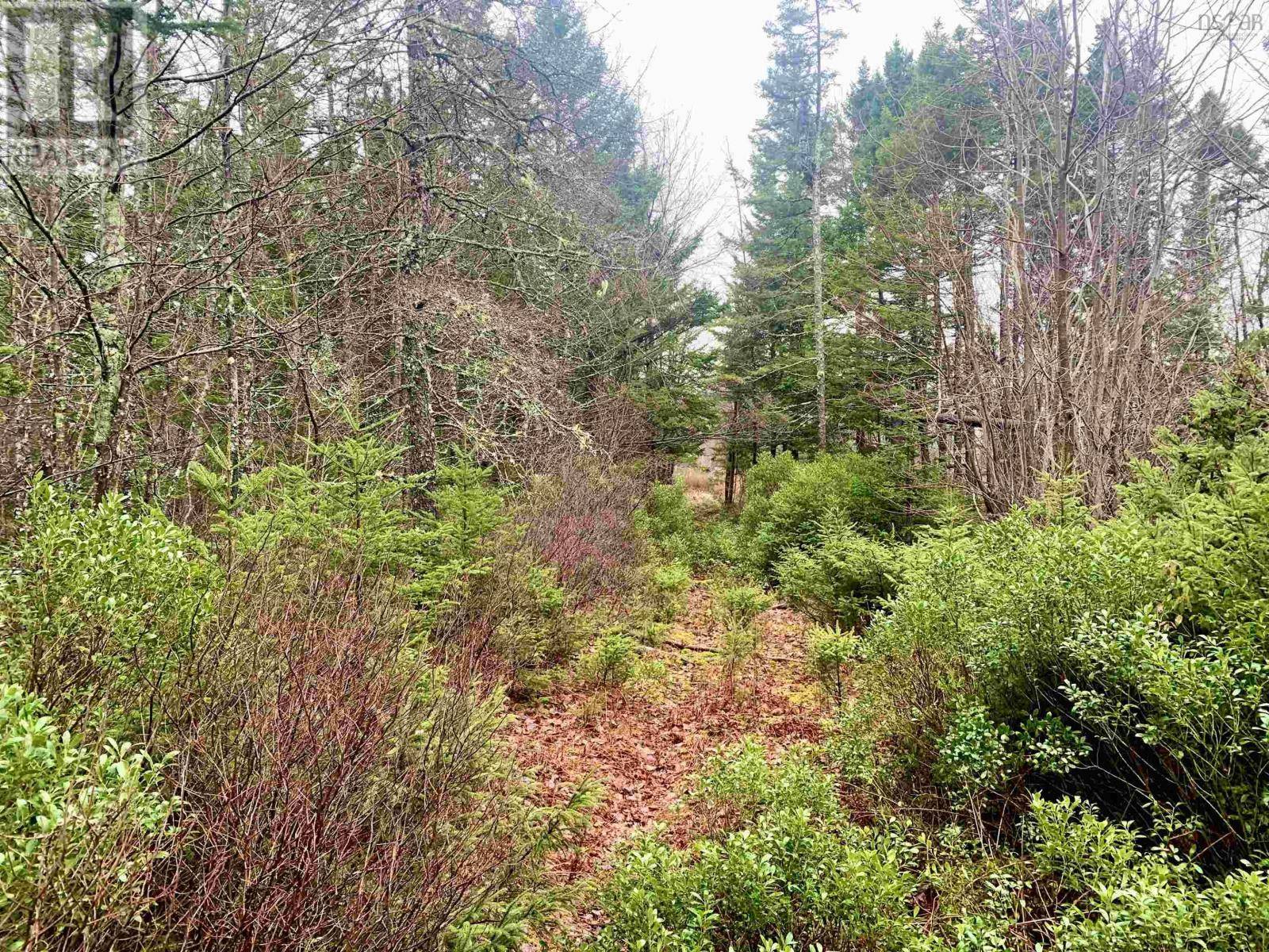 2.3 Acres Highway 308|Tusket, Tusket, NS B0W3M0