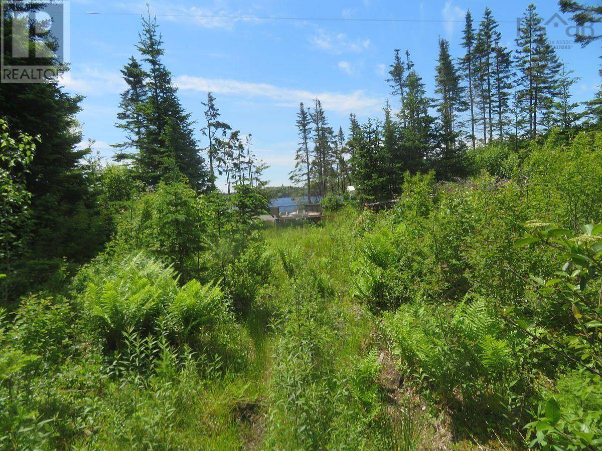 French Road, NS B1K2A1,11/12 Oceanview Road