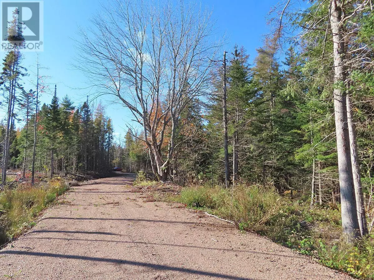 Cleveland, NS B0E1J0,Lot 8 #4 Highway (Lower River Road) Road