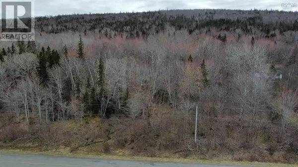 Malagawatch, NS B0E3K0,Lot 52 Marble Mountain Road
