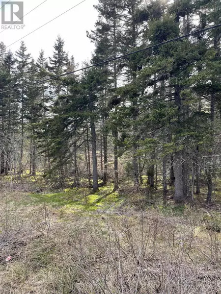 2 lots 395 Highway, Ainslie Glen, NS B0E3M0