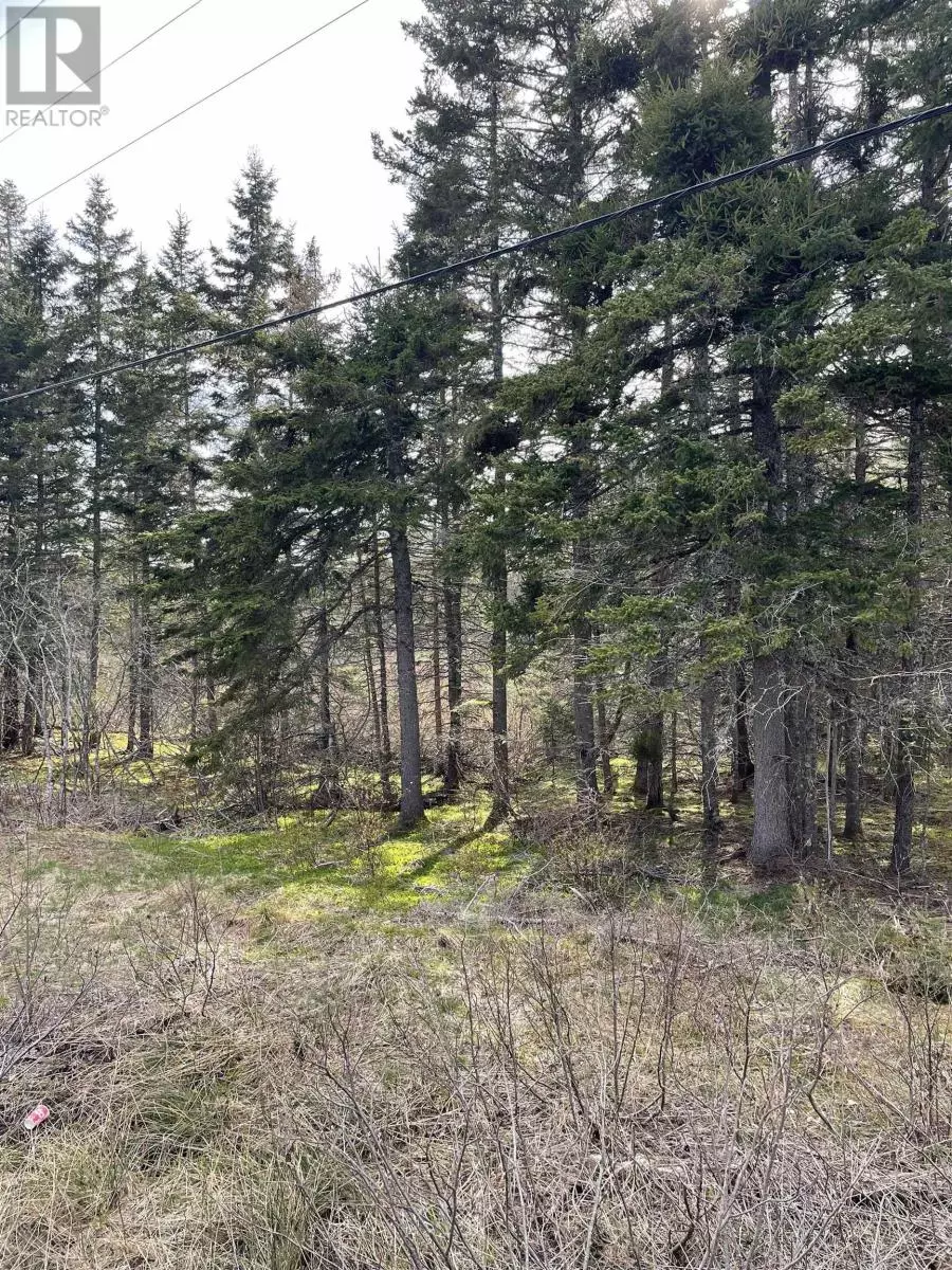 Ainslie Glen, NS B0E3M0,2 lots 395 Highway