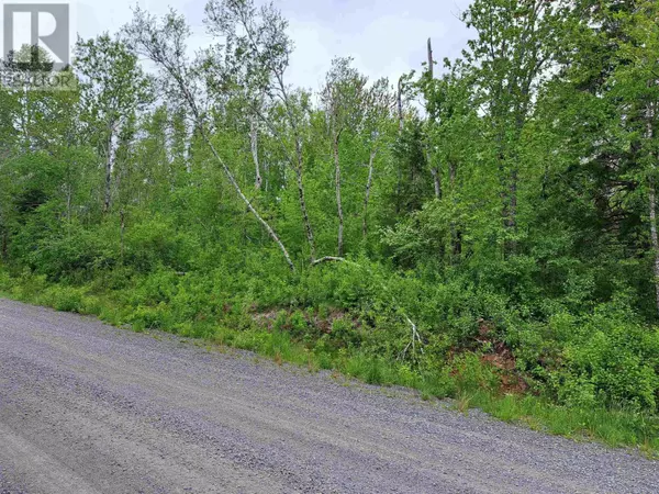 West Tatamagouche, NS B0K1V0,4 Mattatal Branch Road