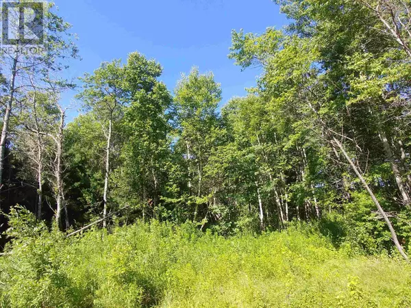 Georgetown Royalty, C0A1L0,Lot 10 Birch Lane Lane