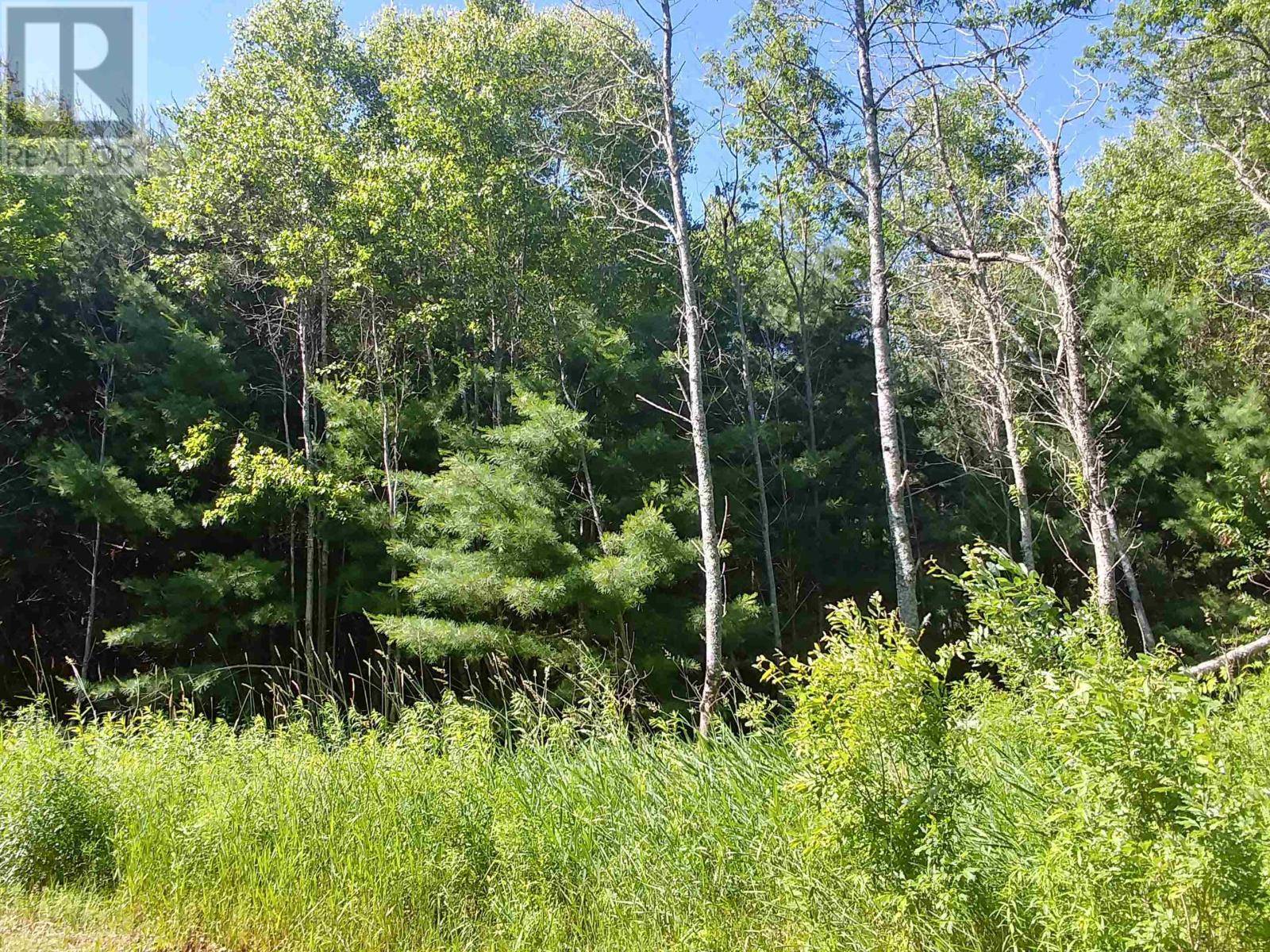 Georgetown Royalty, C0A1L0,Lot 12 Birch Lane Lane