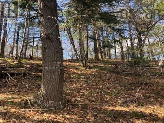 Mayflower, NS B0W2Y0,3C 408 Harrington Road