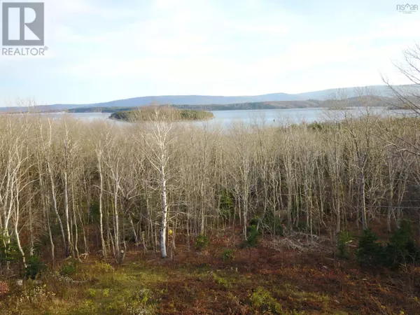 Aspy Bay, NS B0C1G0,Bay St Lawrence Road