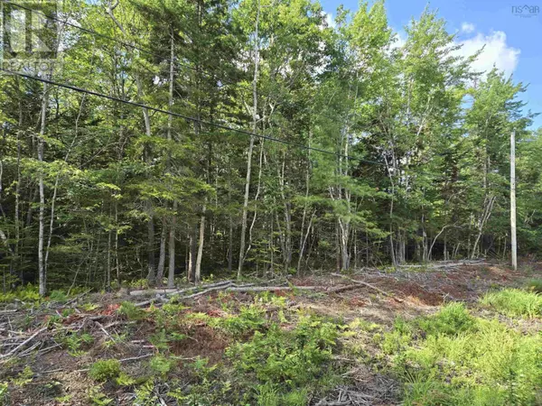 Lot 1 Conquerall Road, Conquerall Bank, NS B4V0J6