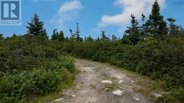 Pleasant Point, NS B0J2L0,LOT 7 Jeddore Cape