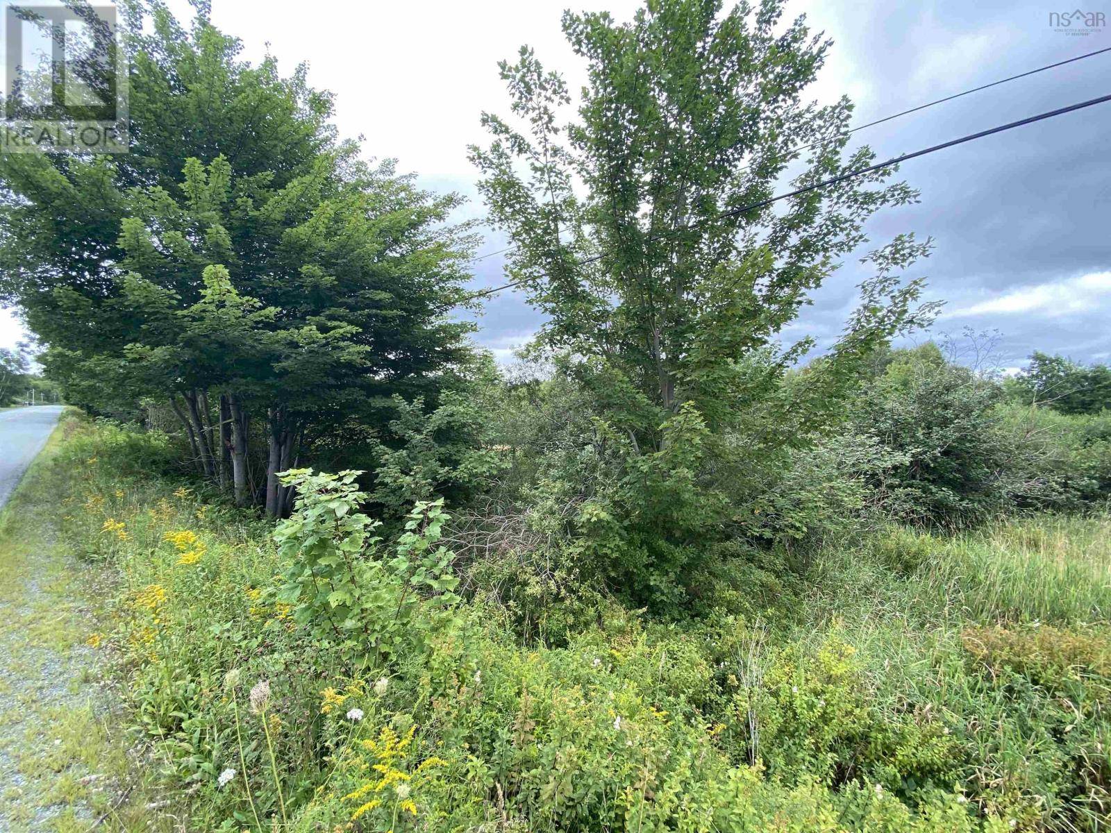 Auburndale, NS B4V3P5,Lot PID#60326535 Upper Branch Road