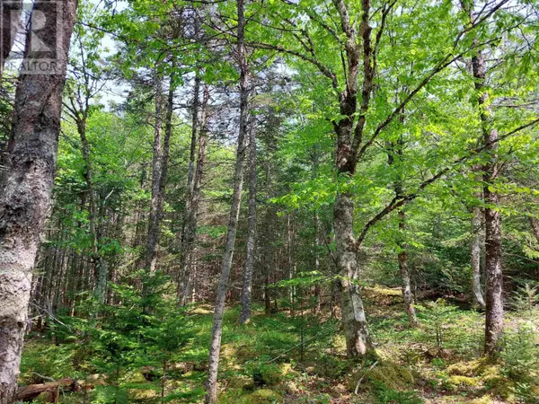 Lot 23IJ Diana Mountain Rd., The Points West Bay, NS B0E3K0