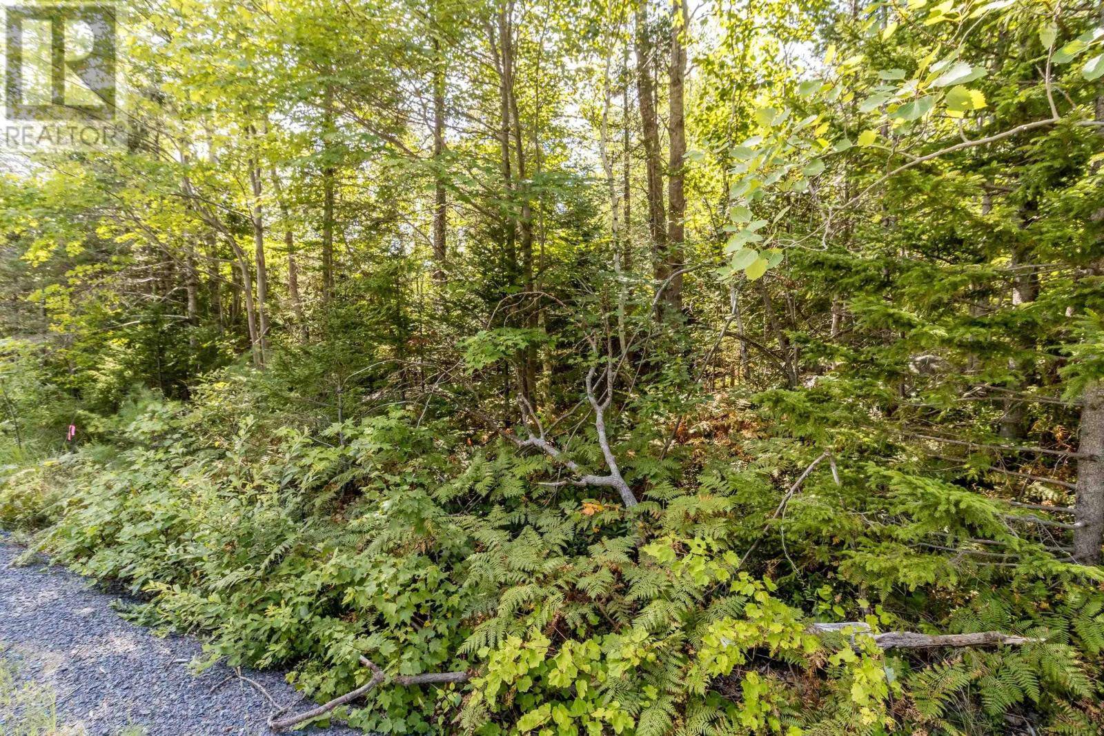 Morristown, NS B0P1C0,Lot 2 Aylesford Road