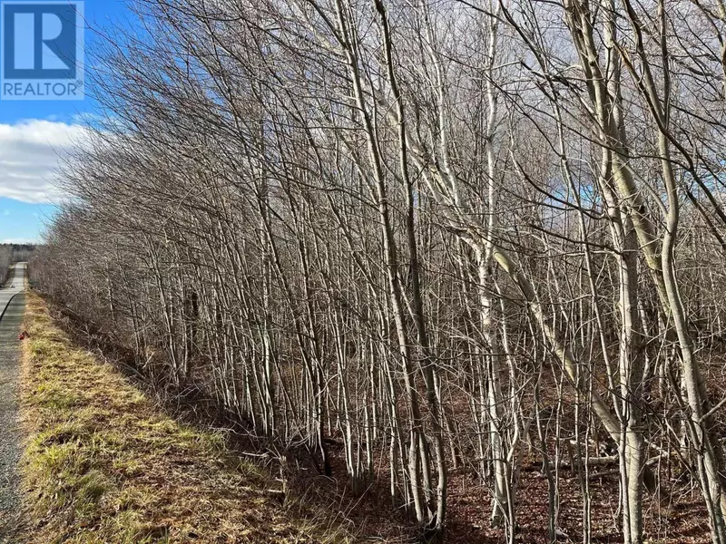 Lot 5 Little Egypt Road, Pictou County, NS B0K1X0