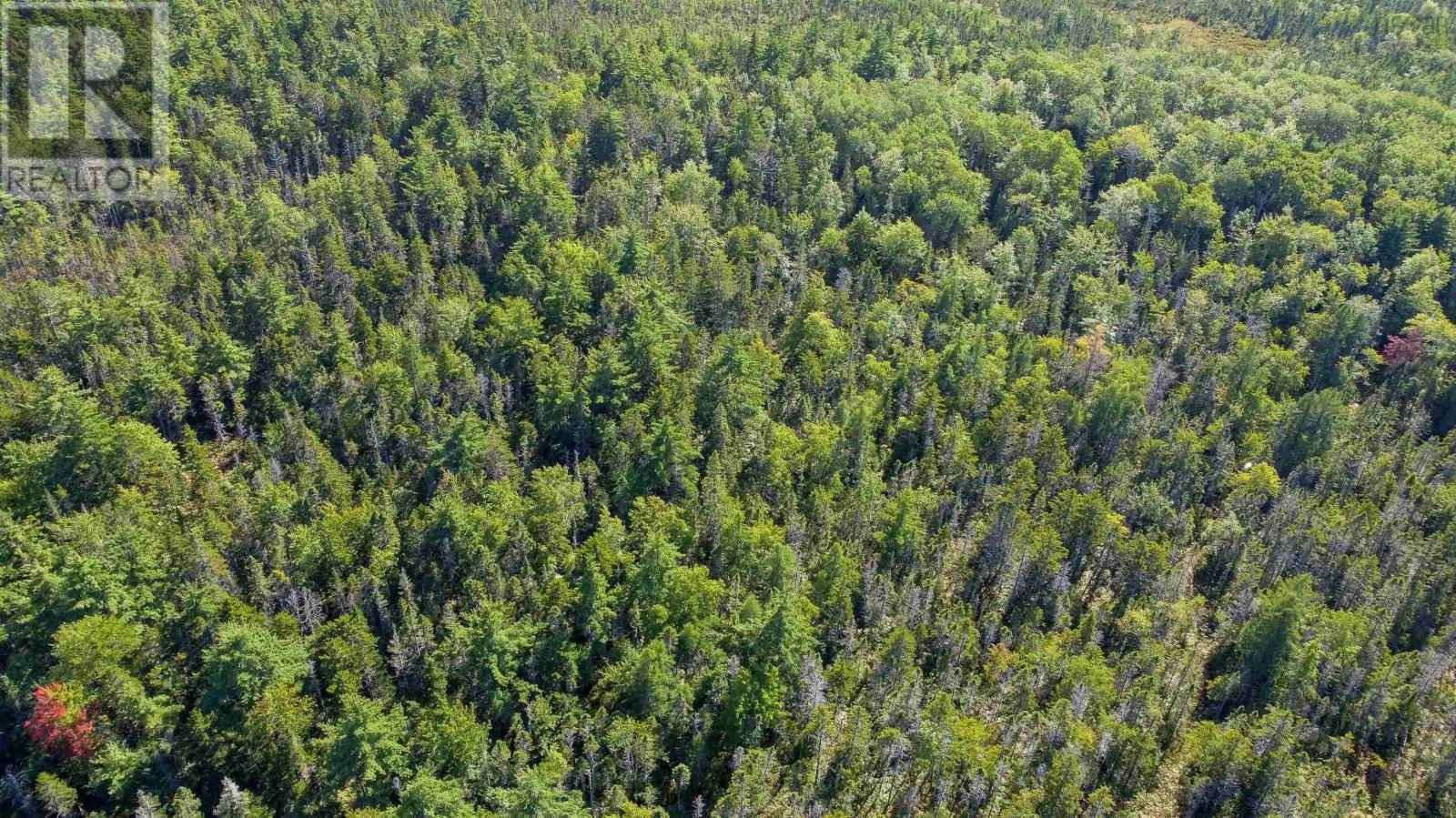 Auburndale, NS B4V3P5,Lot (PID 60475175) Upper Branch Road