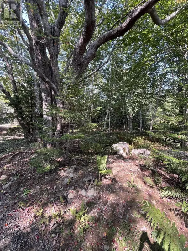 Hassett, NS B0W3T0,Lot 340 Highway