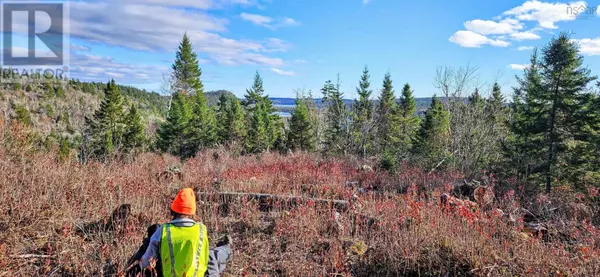 East Chezzetcook, NS B0J2L0,Grant 21937 Soles Stillwater