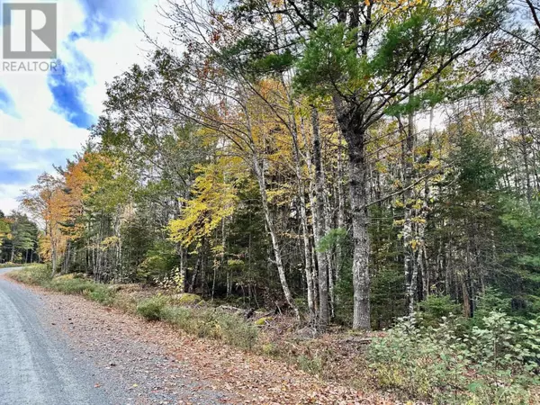 Mill Village, NS B0J2H0,Lots PID#70107438+70107461 Mill Village Road E