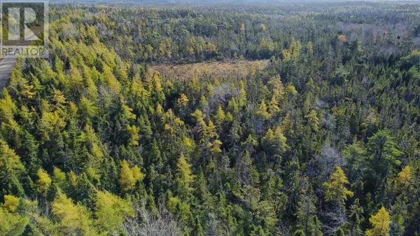 Mountain Road, Seaview, NS B0E3B0