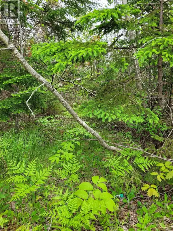 French River, NS B0K1V0,Lot Tattrie Settlement Road