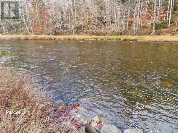 Upper Middle River, NS B0E1B0,3 Lots Gold River Road