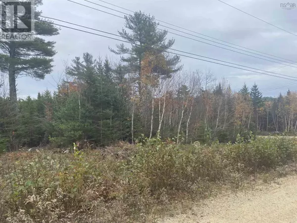 Lot 20 Noonan Lake Lane, Simms Settlement, NS B0J1T0