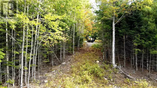 Vaughan, NS B0N2T0,Lot 109 Blue Jay Way