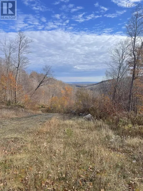 River Denys, NS B0E2Y0,lot River Denys Road