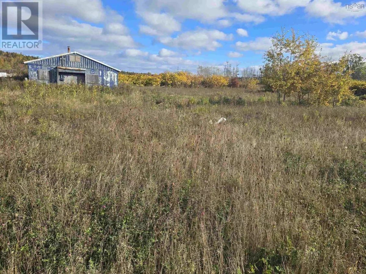 North Sydney, NS B2A3S1,01 25 Ferris Street
