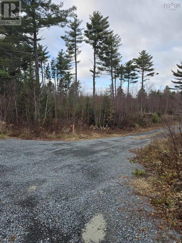 Lot P-1 Baker Road, Mount Pleasant, NS B0R1G0