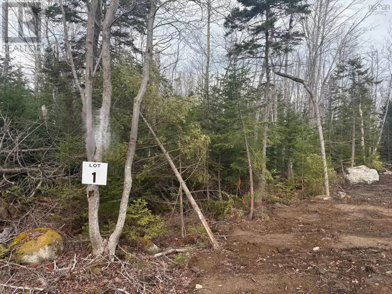 Lot 1 Larry Seldon Lane, Western Head, NS B0T1K0