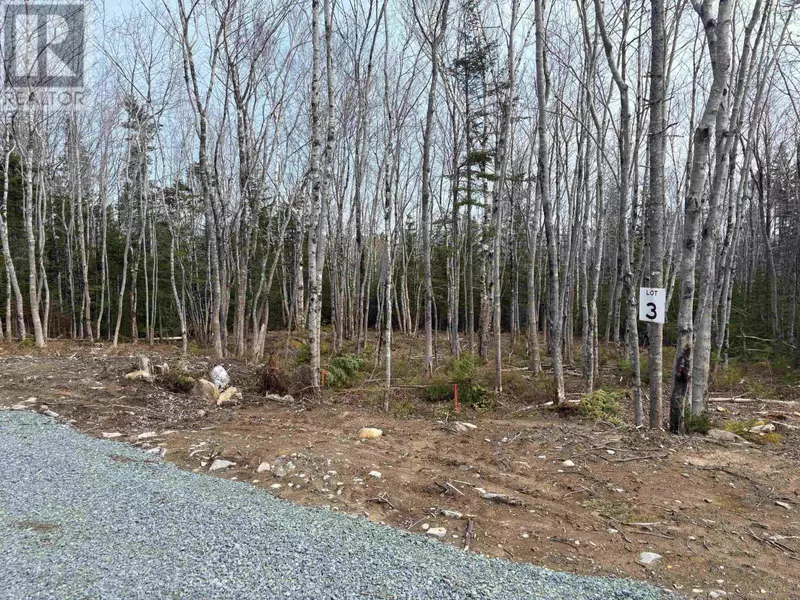 Lot 3 Larry Seldon Lane, Western Head, NS B0T1K0