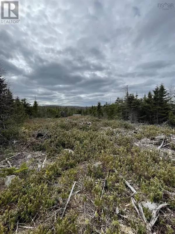 Clam Bay, NS B0J1Y0,143 19 Lipkudamoonk Path