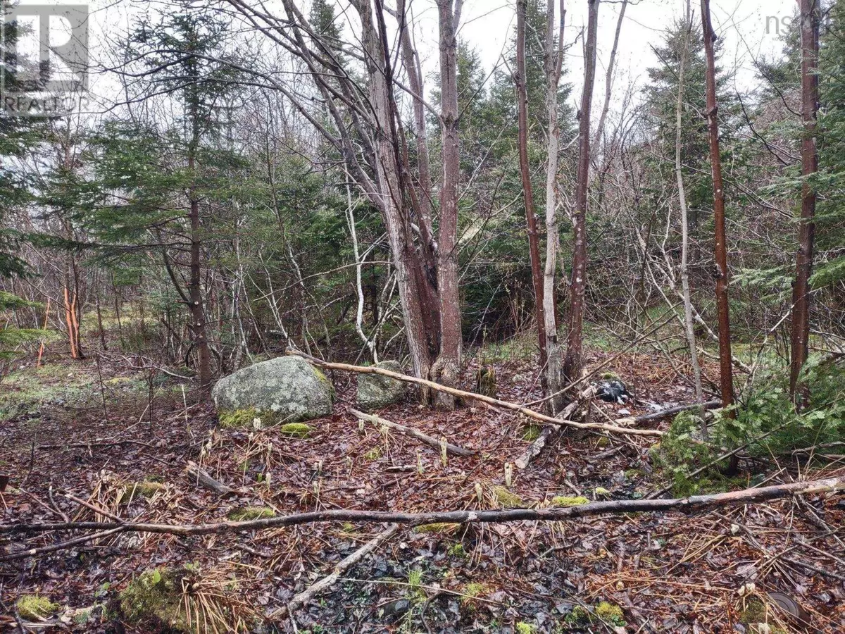 Beechville, NS B3N1J8,1218 St Margarets Bay Road
