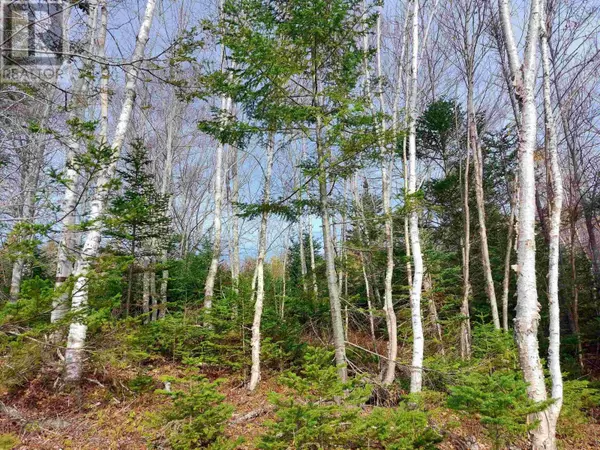 West Bay, NS B0E1V0,Lot 3 Tranquil Shore Road