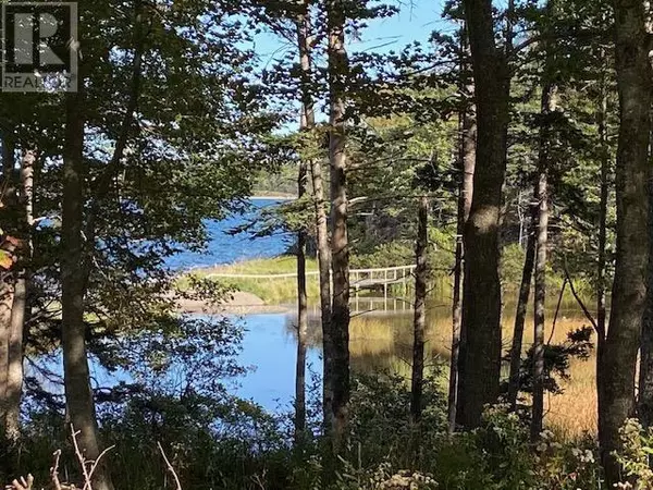 Lot 4 MacLeods Pond Road, Roberta, NS B0E3B0