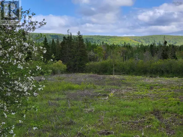 River Denys, NS B0E2Y0,BARREN Road