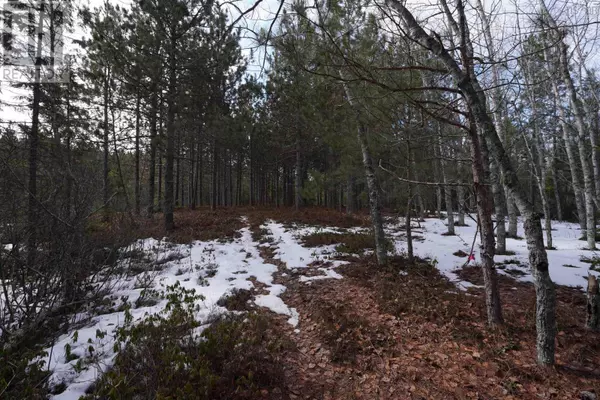 South Farmington, NS B0P1W0,Highway 201