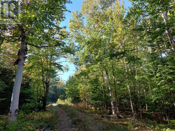Militia Point, NS B0E2Y0,Lot 50 Redbird Dr.