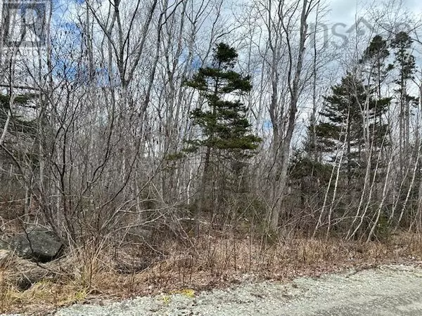 White Point, NS B0T1K0,Lot 16 Old Port Mouton Road